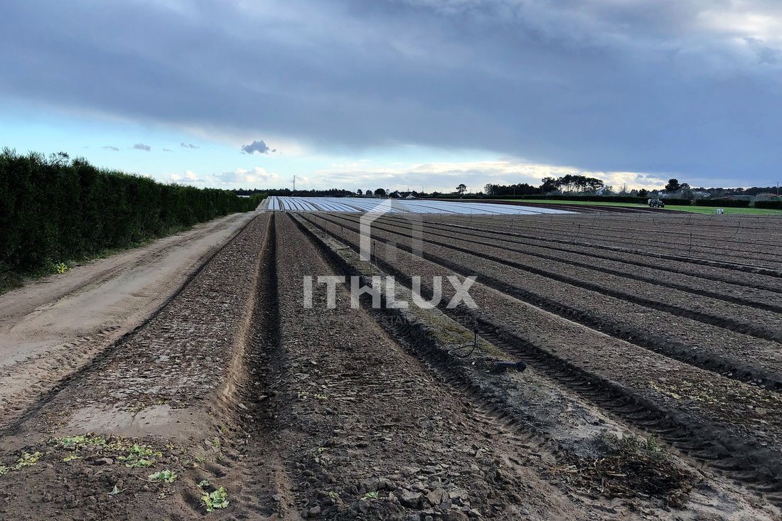 Land in Santo Andre, Setubal, Portugal 5 - 18443694