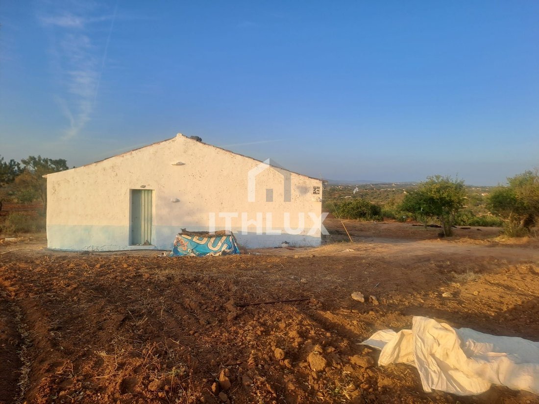 Alcantarilha, Algarve, Portugal 3 - 18443836