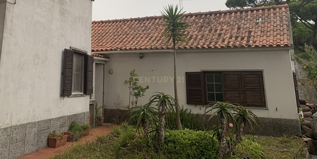 Villa in Colares, Lisbon, Portugal 5 - 18443378