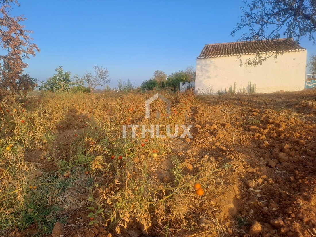 Alcantarilha, Algarve, Portugal 2 - 18443836