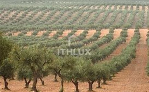 Corps de ferme à Caia, Sao Pedro e Alcacova, Portalegre, Portugal 1