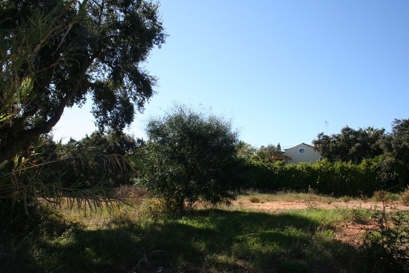 Land in Sotogrande, San Roque, Andalusia 5 - 18443498