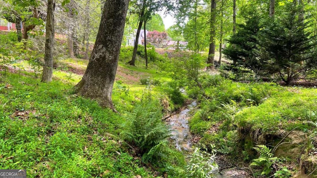 House in Cumming, Georgia, United States 3 - 18443174