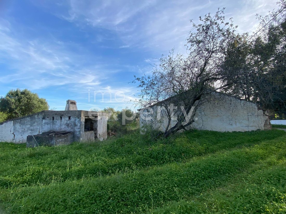 Farm Ranch in Conceicao e Cabanas de Tavira, Algarve, Portugal 5 - 18443582