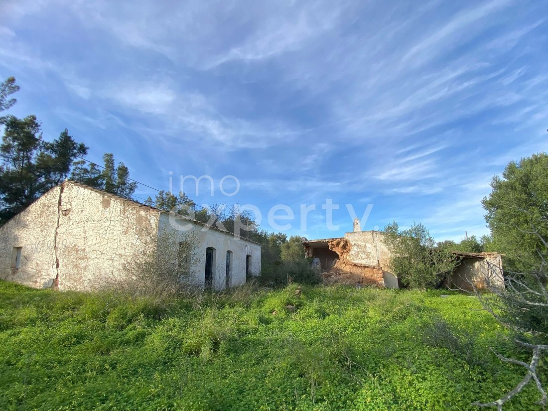 Farm Ranch in Conceicao e Cabanas de Tavira, Algarve, Portugal 1 - 18443582