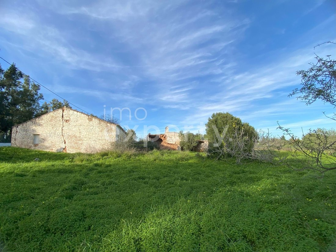 Farm Ranch in Conceicao e Cabanas de Tavira, Algarve, Portugal 2 - 18443582