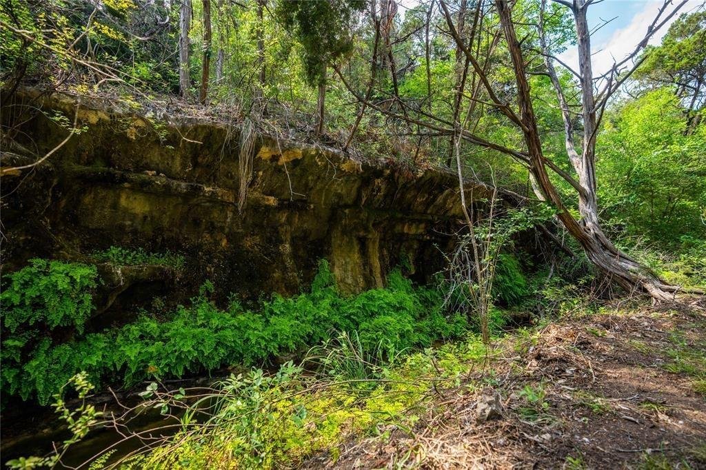 Terrain à Austin, Texas, États-Unis 3 - 18443780