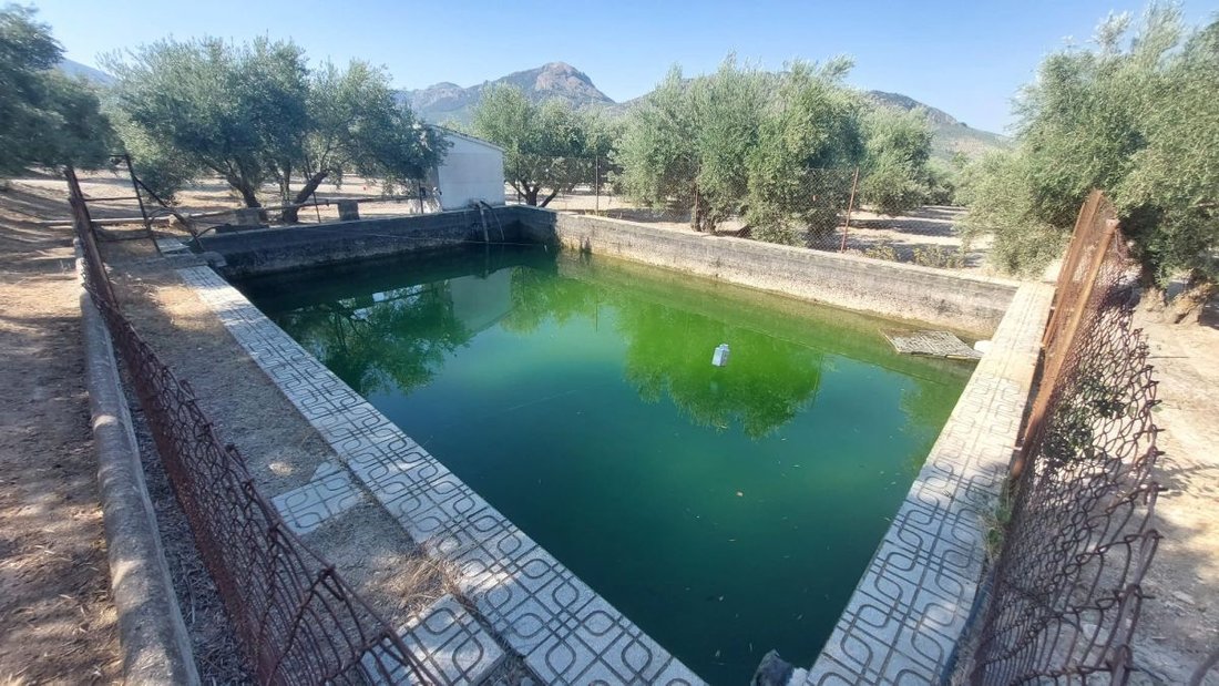 Finca in Quesada, Andalusia, Spain 4 - 18445015