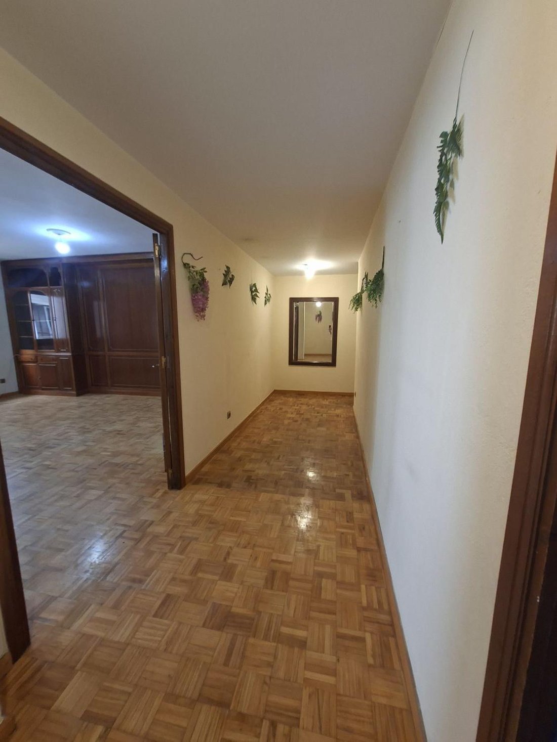 Apartment in Casco Antiguo, Seville, Spain 2 - 18444977