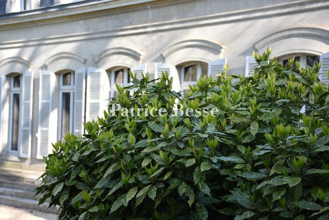Maison à Briand Leclerc, Sens, France 2 - 18449965