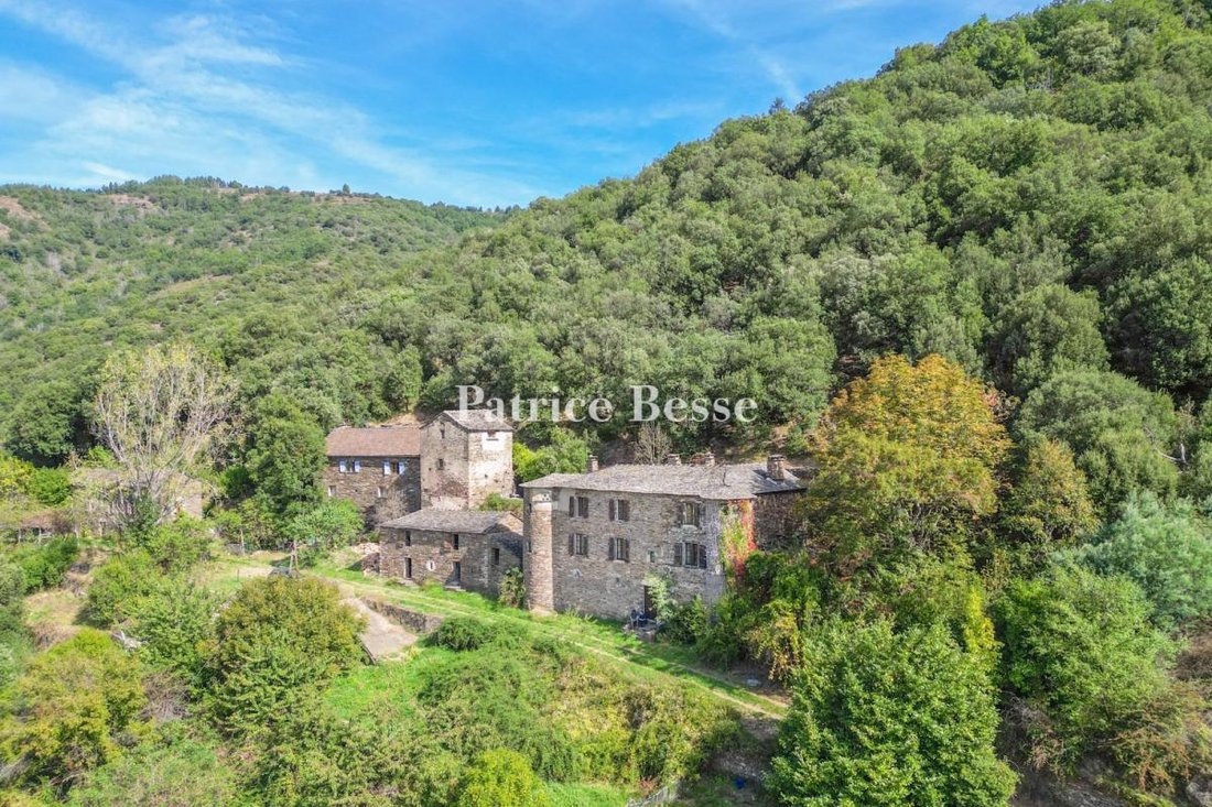 Castello a Sainte-Croix-Vallée-Française, Occitania, Francia 2 - 18449490
