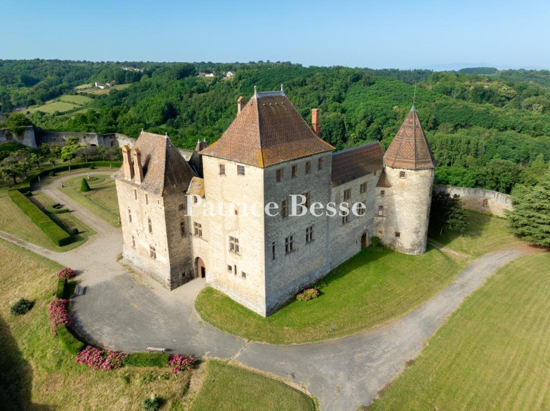 Castle in Septeme, Auvergne-Rhône-Alpes, France 3 - 18450017