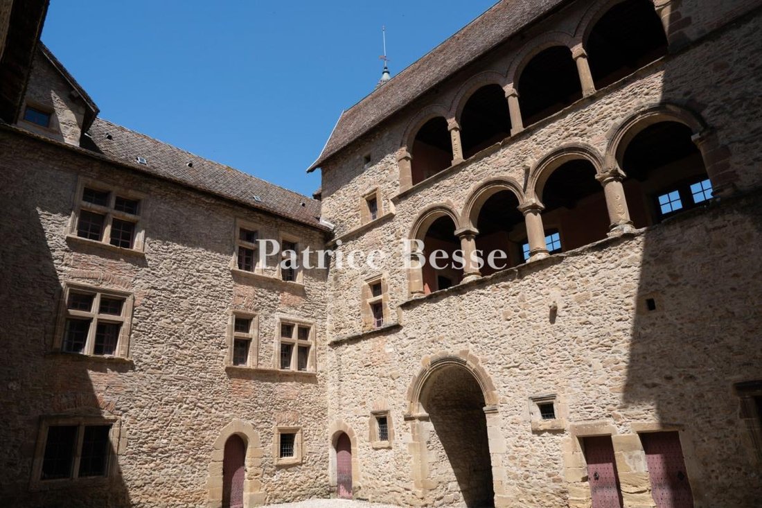 Castle in Septeme, Auvergne-Rhône-Alpes, France 4 - 18450017