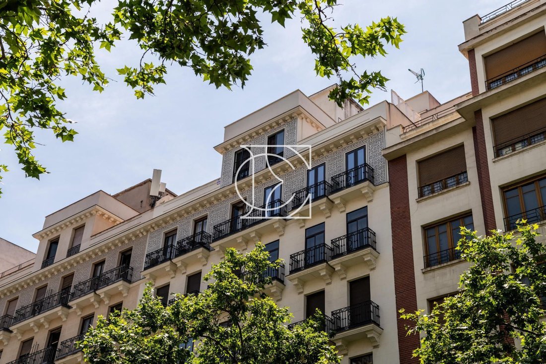 Apartment in Barrio Salamanca, Madrid, Spain 4 - 18446295