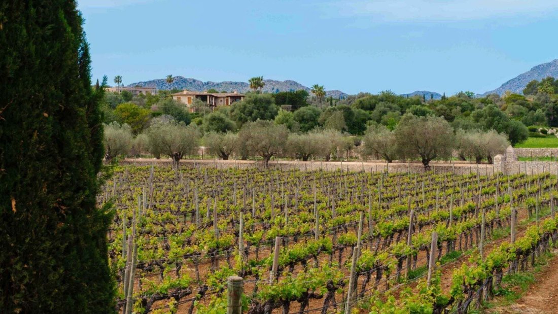 Country House in Pollenca, Balearic Islands, Spain 4 - 18447905