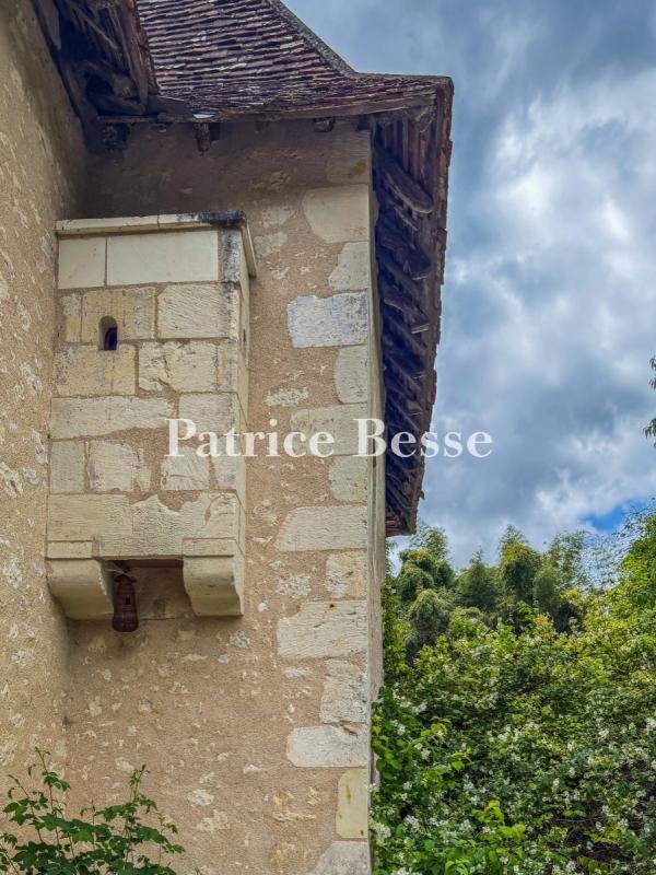House in La Roche-Posay, Nouvelle-Aquitaine, France 3 - 18448962
