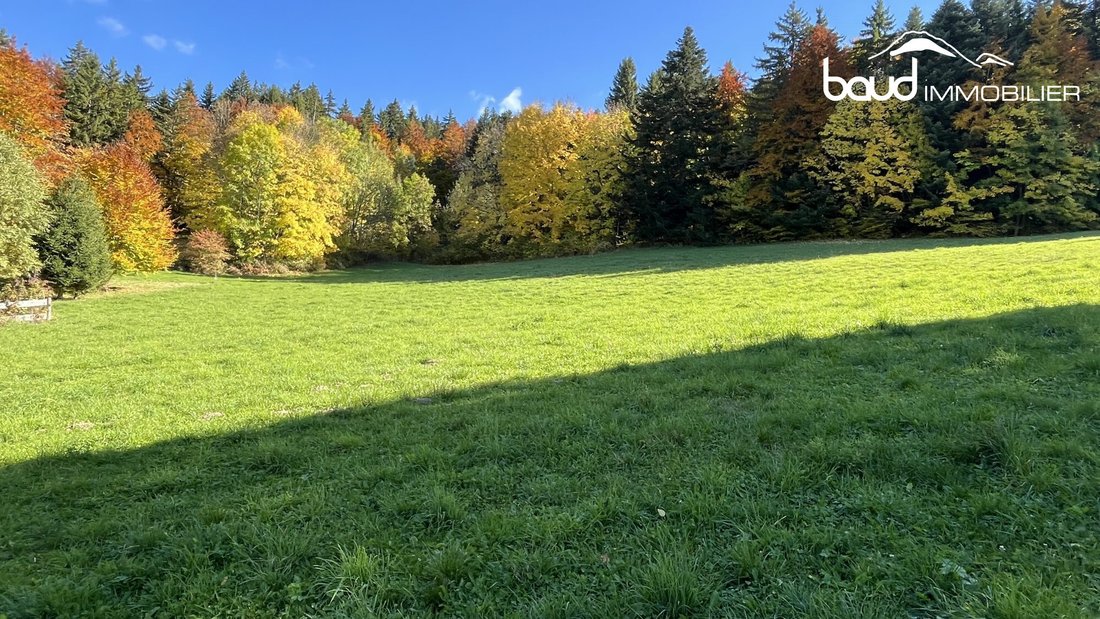 Land in Villard-de-Lans, Auvergne-Rhône-Alpes, France 2 - 16389015