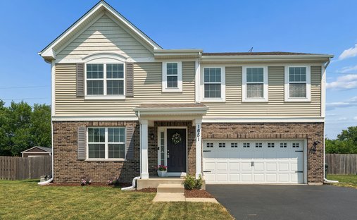 Casa a New Lenox, Illinois, Stati Uniti 1