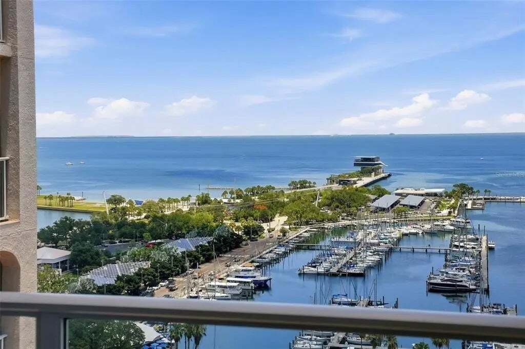 House in St. Petersburg, Florida, United States 3 - 18452289