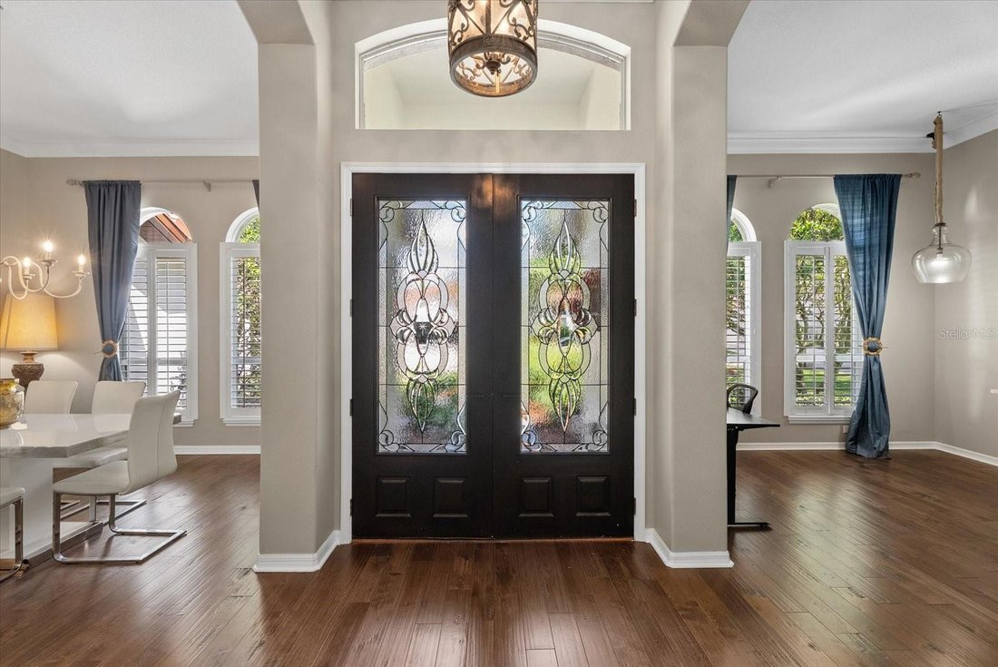 House in Tampa, Florida, United States 3 - 18449254