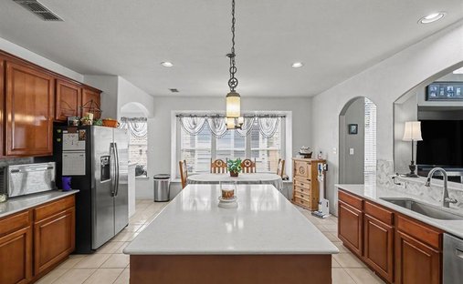House in Rowlett, Texas, United States 1