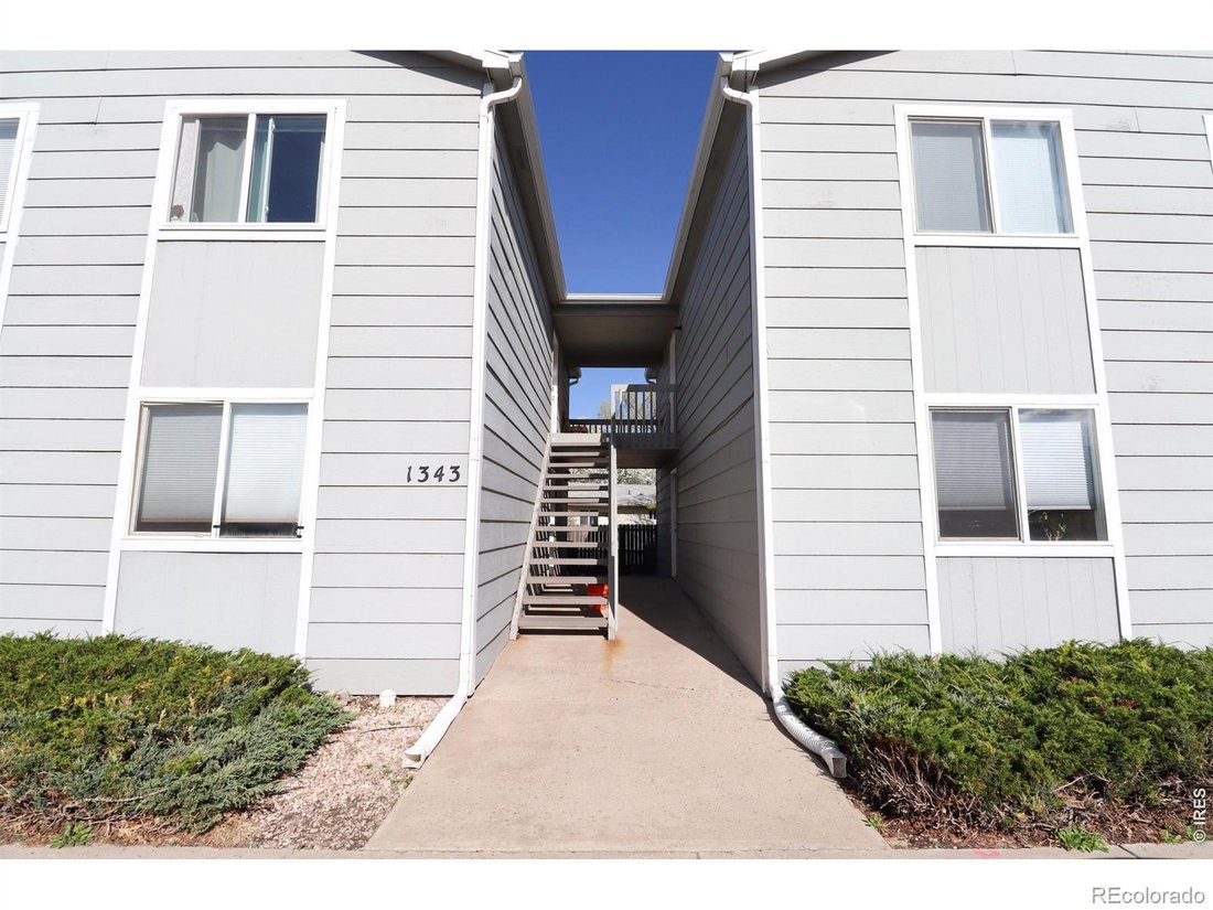 Fort Collins, Colorado, United States 2 - 18449048
