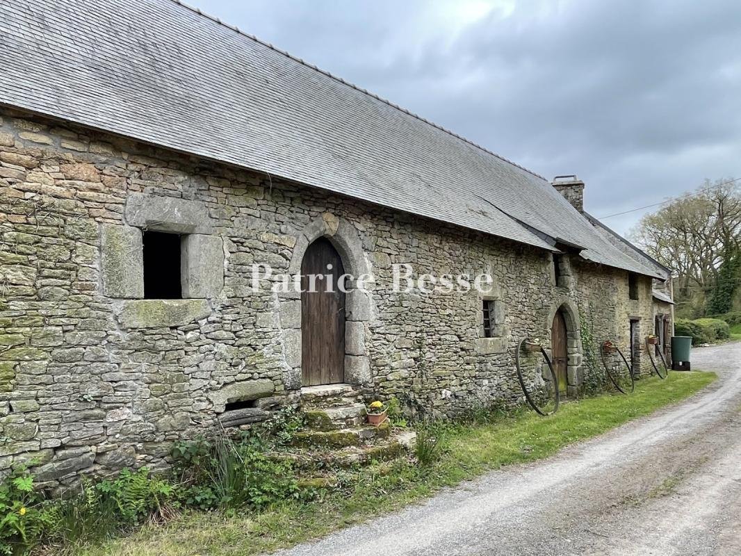 House in Allaire, Brittany, France 1 - 18449327