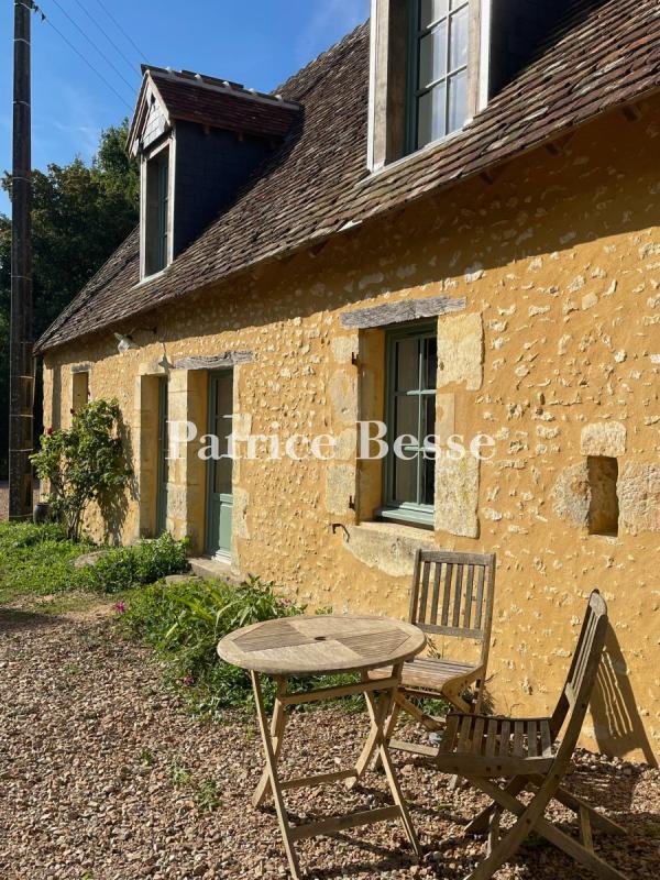 Farm Ranch in Sud Ouest, La Ferté-Bernard, Frankreich 3 - 18449141