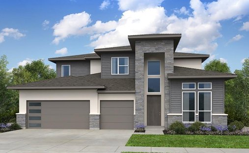 House in Leander, Texas, United States 1