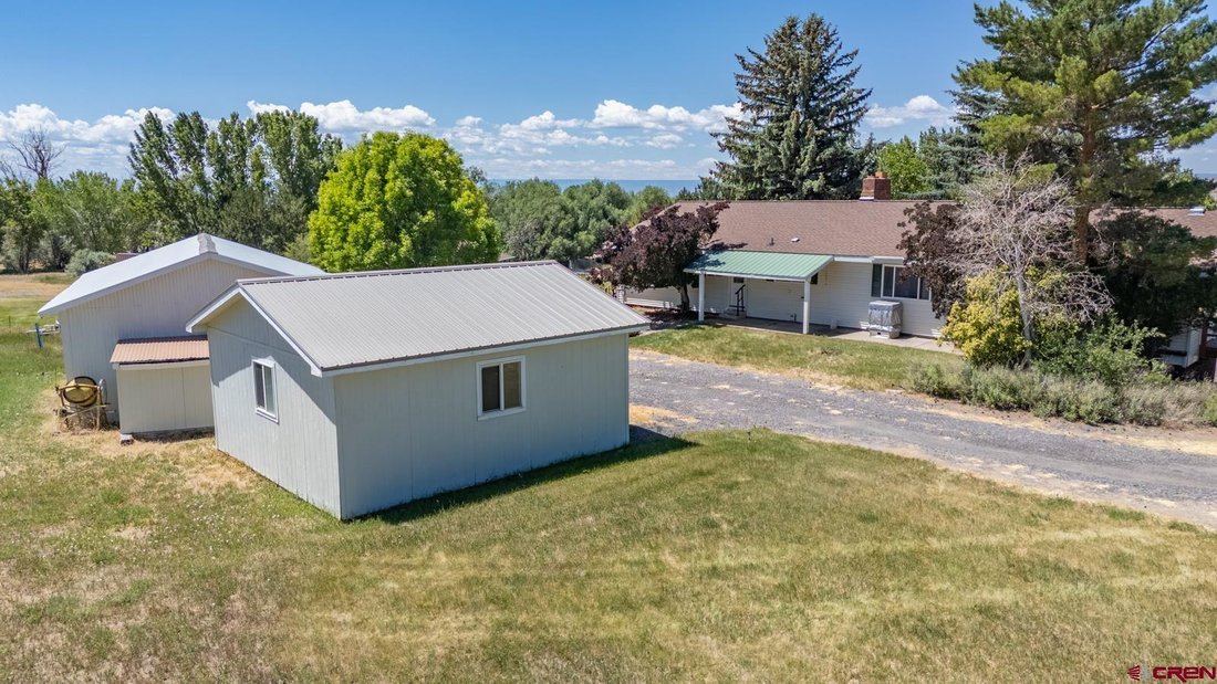 Cedaredge, Colorado, United States 4 - 18447708