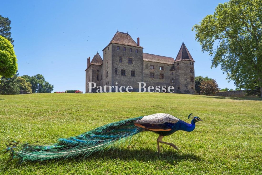 Castle in Septeme, Auvergne-Rhône-Alpes, France 2 - 18450017