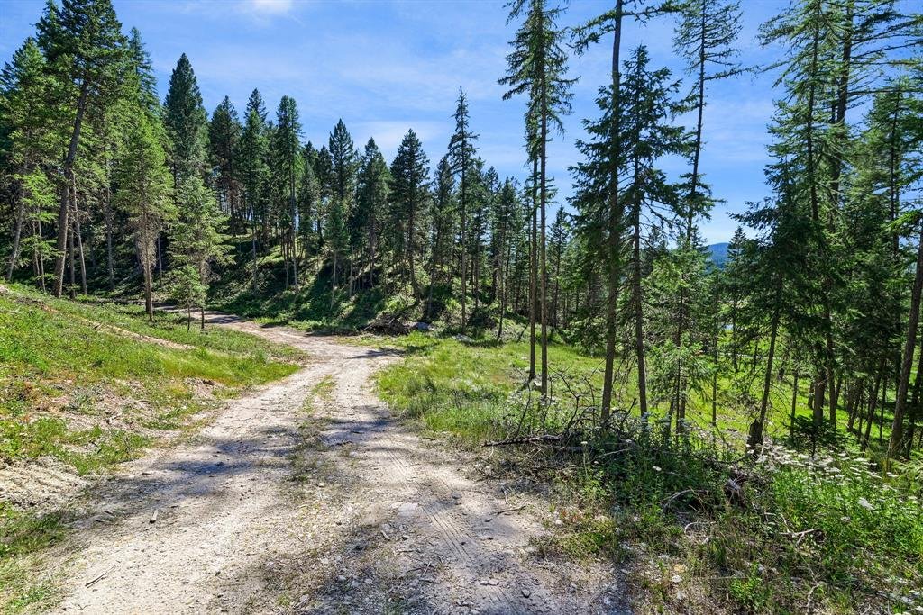 Land in Whitefish, Montana, United States 5 - 18448713