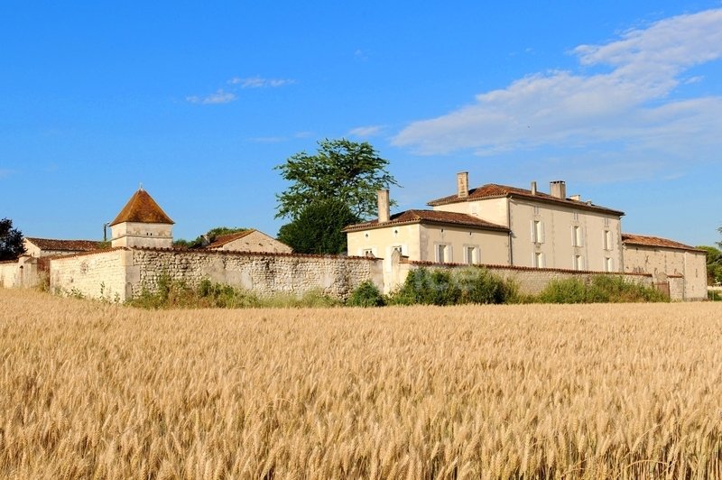 House in Cognac, Nouvelle-Aquitaine, France 2 - 18447716