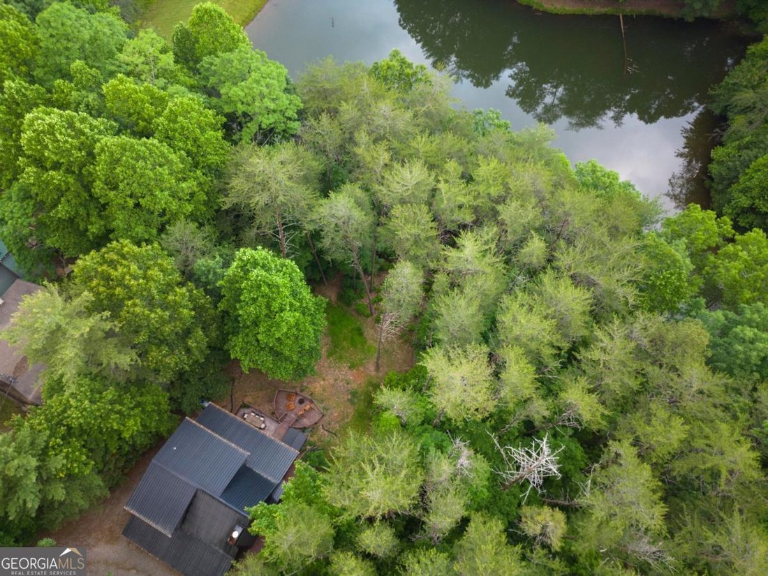 House in Ellijay, Georgia, United States 5 - 18447366