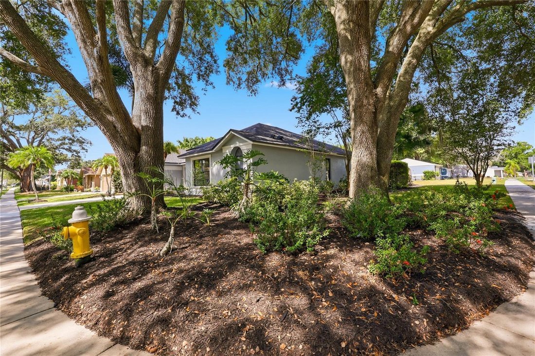 House in Palm Harbor, Florida, United States 4 - 18446474