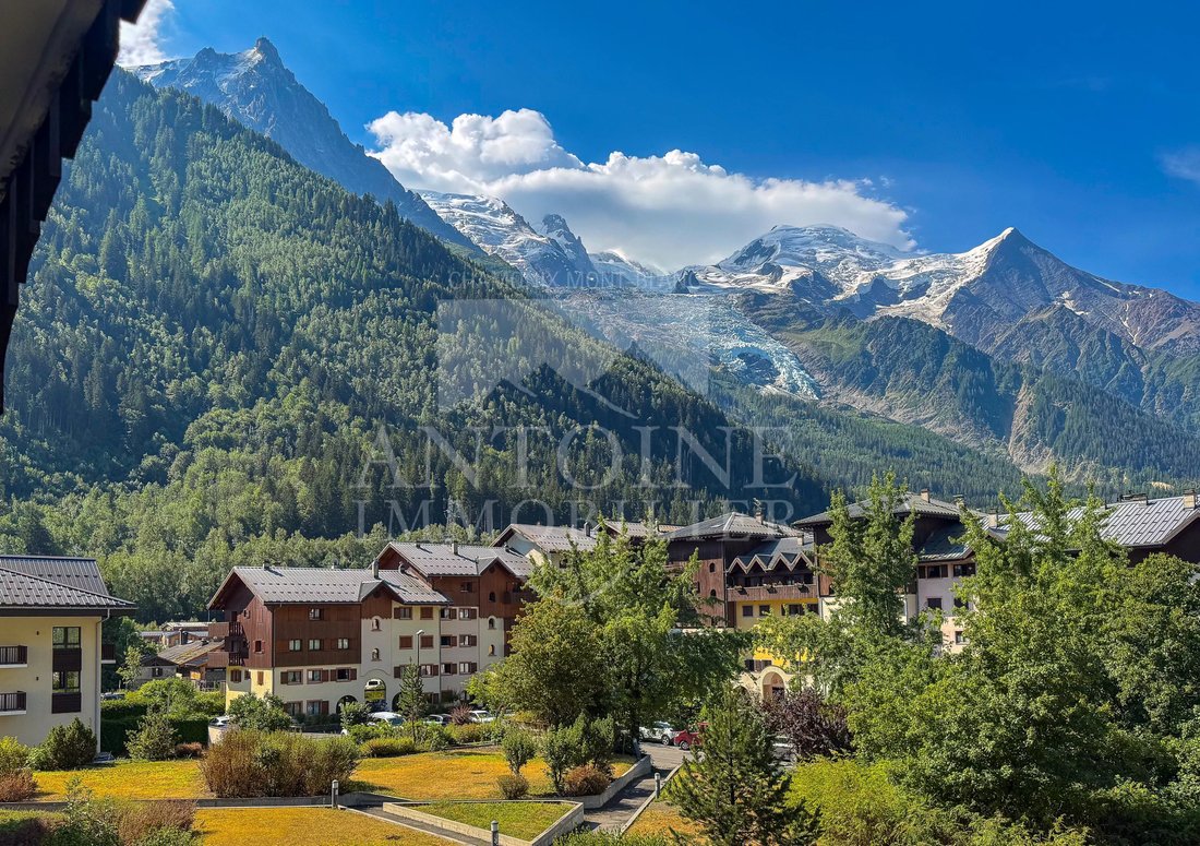 Apartment in Chamonix-Mont-Blanc, Auvergne-Rhône-Alpes, France 1 - 16461071