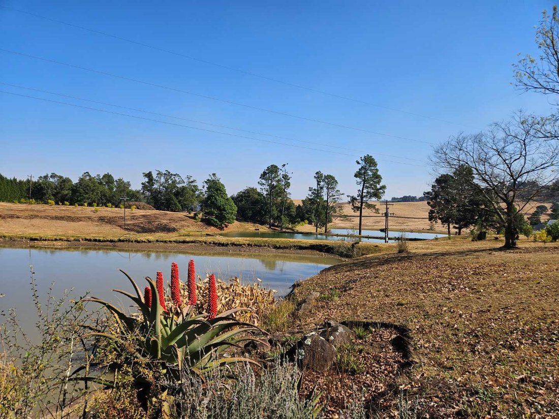 Farm Ranch in Merrivale, KwaZulu-Natal, South Africa 1 - 18446695