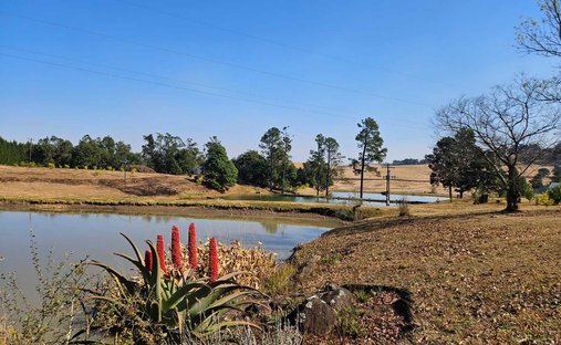 Azienda agricola a Howick, KwaZulu-Natal, Sudafrica 1