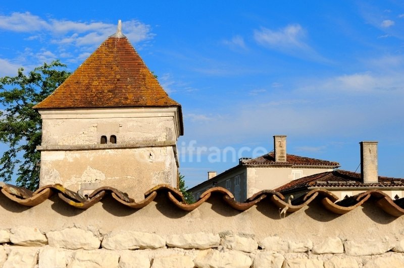 House in Cognac, Nouvelle-Aquitaine, France 1 - 18447716