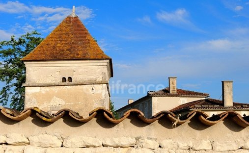 House in Cognac, Nouvelle-Aquitaine, France 1