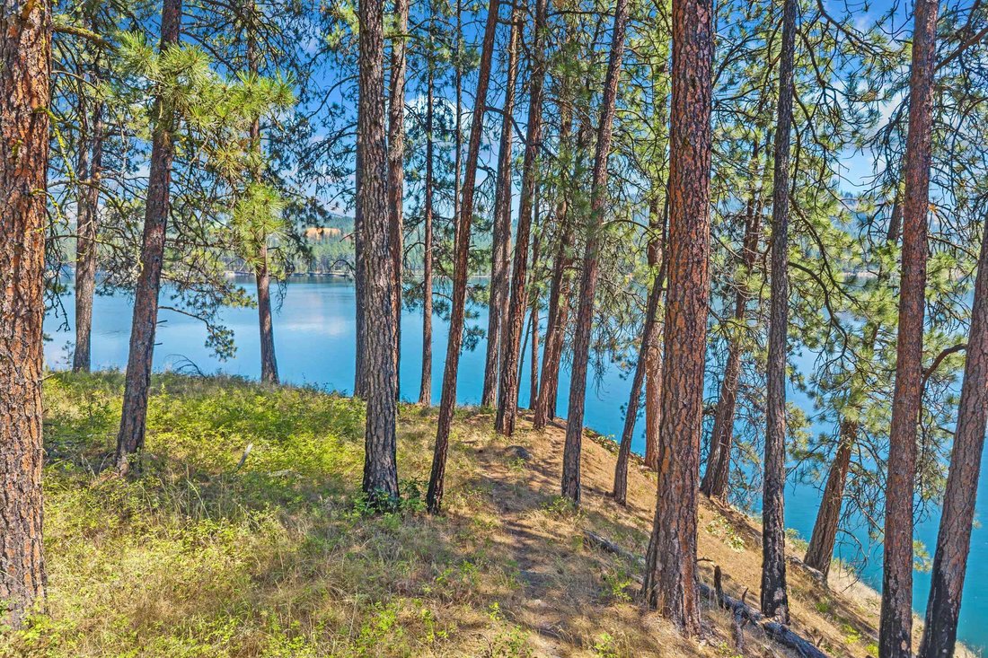 House in Kettle Falls, Washington, United States 5 - 17722075