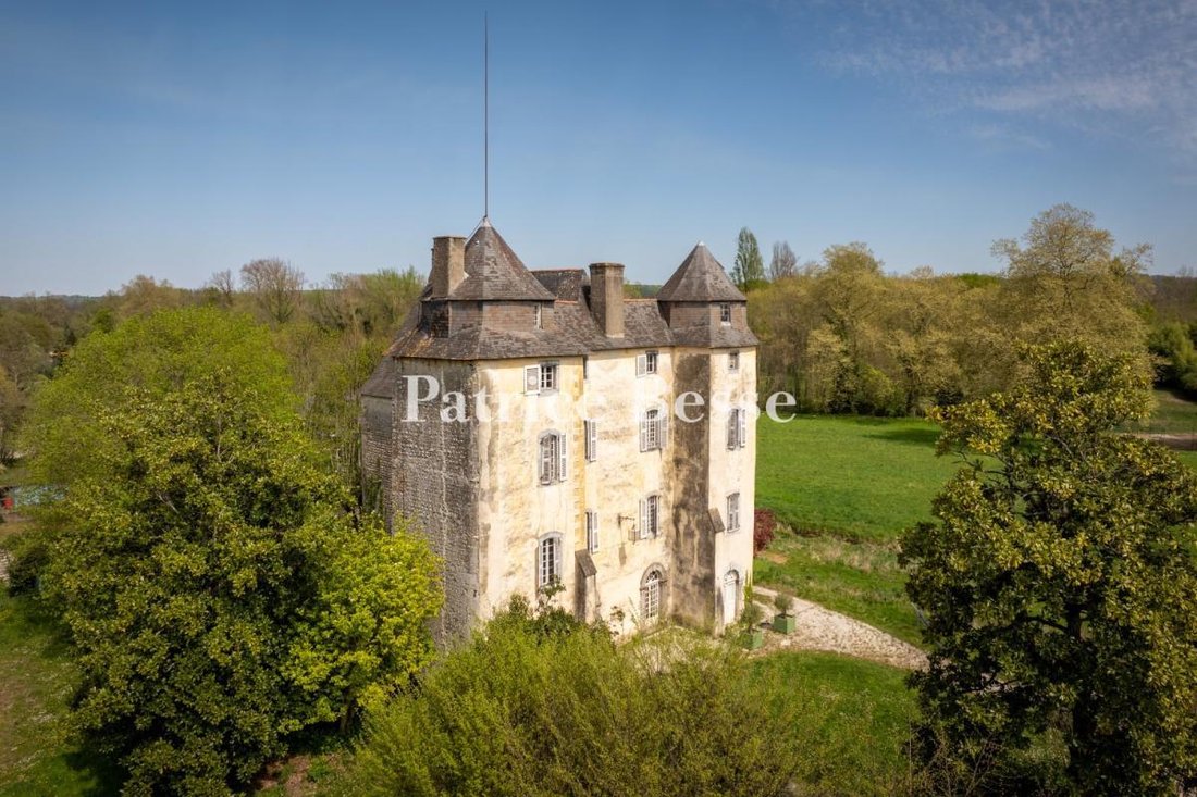 Castello a Centre-Marcadieu-Marne, Tarbes, Francia 1 - 18449807