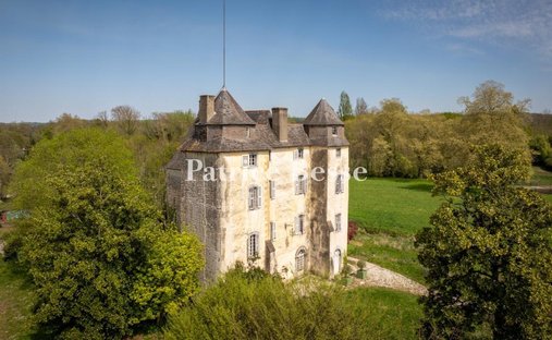 Castello a Centre-Marcadieu-Marne, Tarbes, Francia 1