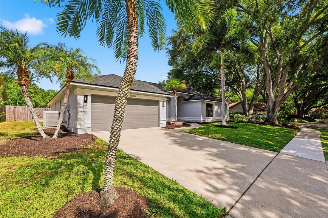 House in Palm Harbor, Florida, United States 3 - 18446474