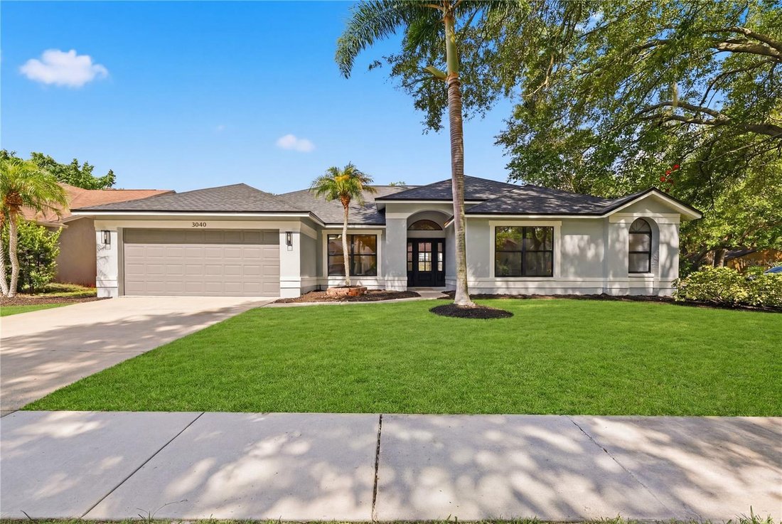 House in Palm Harbor, Florida, United States 1 - 18446474