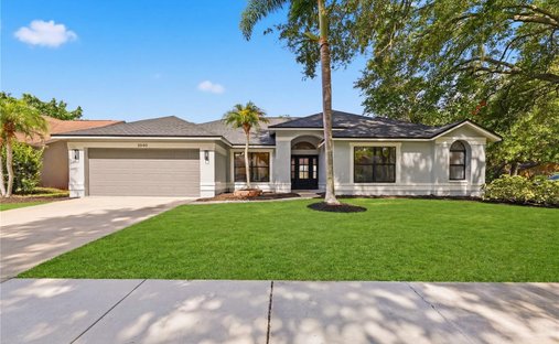 House in Palm Harbor, Florida, United States 1