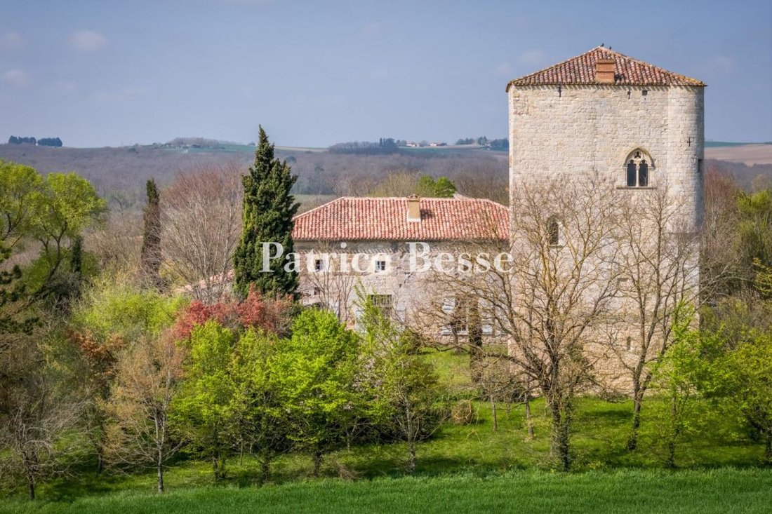 House in Lectoure, Occitania, France 1 - 18448994