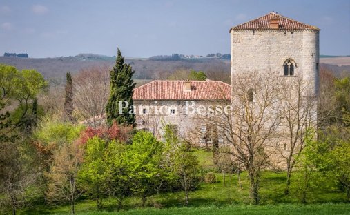 House in Lectoure, Occitania, France 1