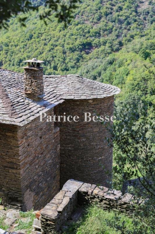 Castello a Sainte-Croix-Vallée-Française, Occitania, Francia 4 - 18449490