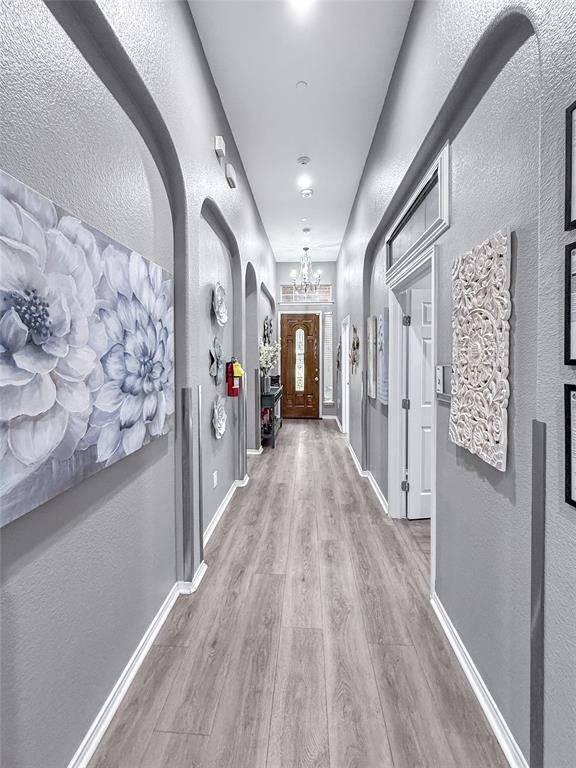 House in Frisco, Texas, United States 5 - 18451264
